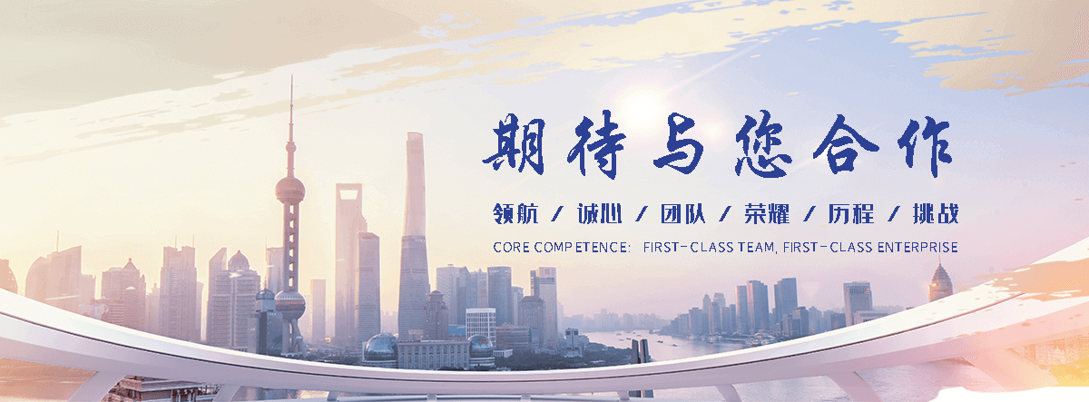 枣强靠谱的土工网生产商